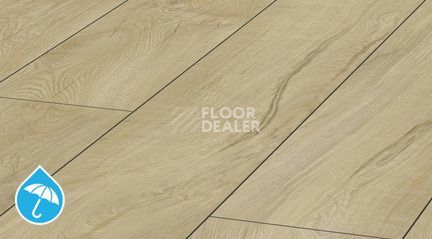 Ламинат Kronotex Mammut Plus d4668 Дуб Магнум Песчаный фото 1 | FLOORDEALER